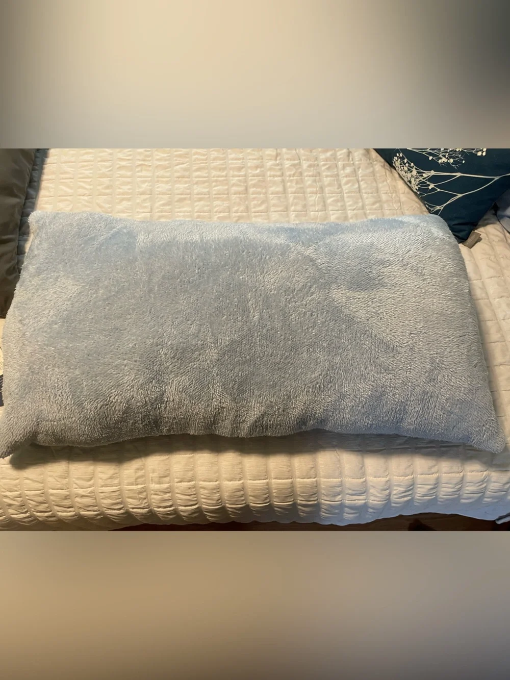 Aeropostale Light Blue Sweatshirt Jersey Body Pillow